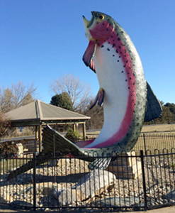 The Big Trout at Adaminaby