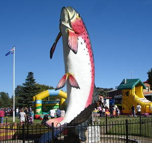 Jumping castles near the Big Trout, Adaminaby Easter Fair