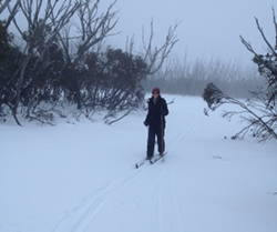 Crosscountry skiing at Cabramurra