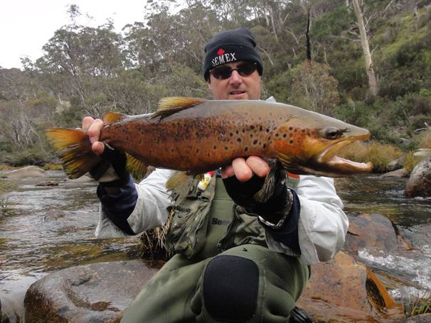 Trout fishing in the Snowies